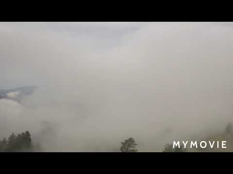 morning  relaxing music