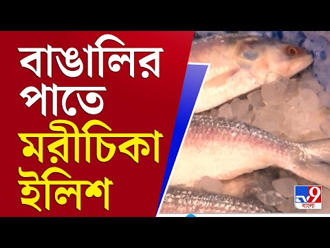আপনার খবর | বর্ষা আসে, ইলিশ আসে না, সমাধান কী? | Hilsha Fish