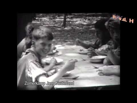 Archief Beers 1967 1991