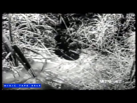 WOC Tape 0543 Station Bug Compilation - 1980s