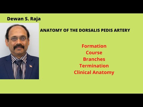 DORSALIS PEDIS ARTERY