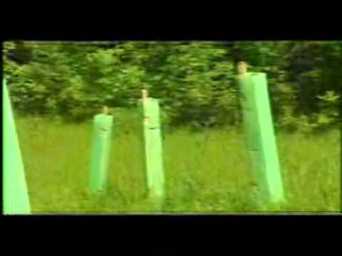 Transitgas SA - wiederinstandstellung