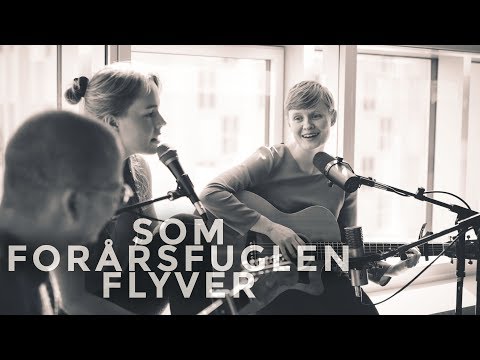 Som Forårsfuglen Flyver - Ester Haslund Gjerrild // Stille Stunder