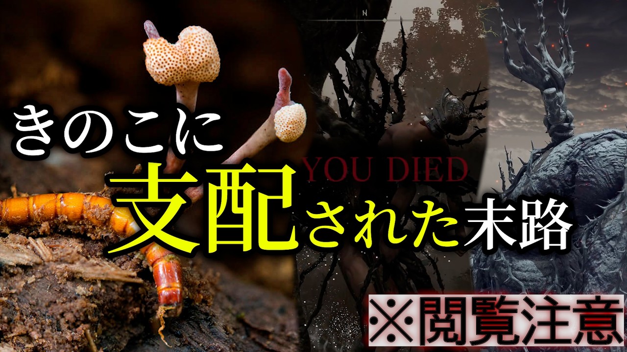 【エルデンリング考察】喰うとおっさんママ化。厳かなる苗床キノコについて『狭間の地、寄生生物の楽園だった説』