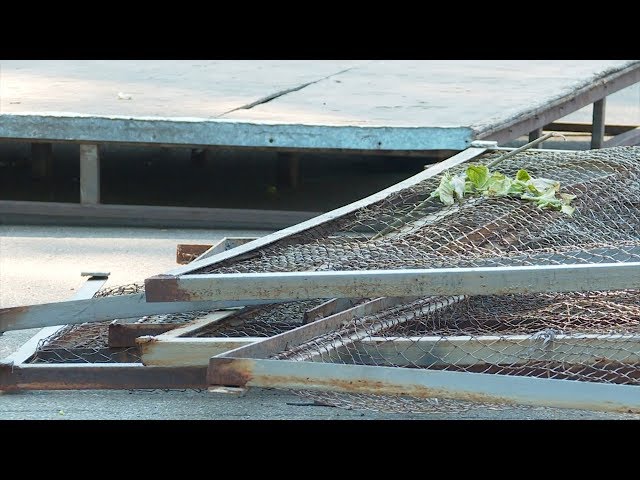 В парке орудуют вандалы