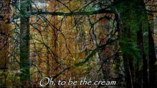 Bauhaus - All we ever wanted was everything - Special Long Version HD Lyrics