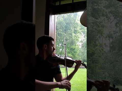 Colectivo nostalgia - La Maravillosa Orquesta del Alcohol, ( Cover Manu Ruiz).