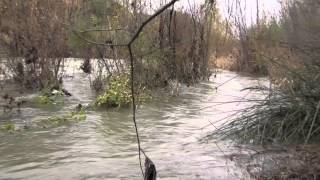 preview picture of video 'masroig aigua de novembre, el siurana 2013. (HD 1080p)'