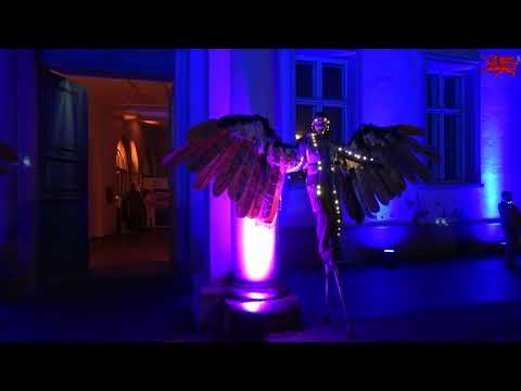 06.11.2025 Rostocker Lichtwoche. Motto: „Kosmisches Licht“