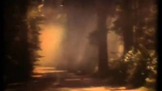 Get Well Soon - Christmas In Adventure Parks