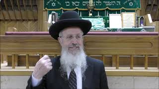 הרב אברהם יוסף שליט"א דיני והלכות חול המועד תשפ"א