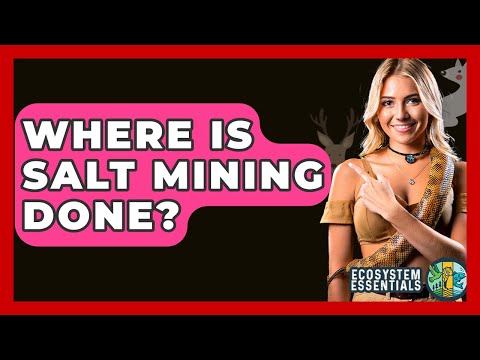 Where Is Salt Mining Done? - Ecosystem Essentials