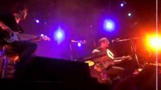 Between the Trees - The Fort