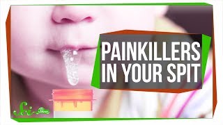The Super Strong Painkiller Hiding in Your Spit