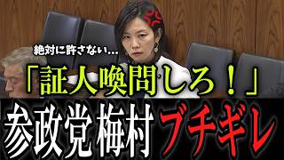 【国会中継/切り抜き】辺野古事故は風化させない！参政党・梅村議員が参考人招致を要求！#政治 #日本 #国会中継