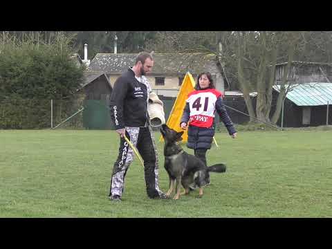 Svod NO 2017 - Huricaine Moravia Campanella