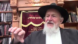 הלכות נטילת ידים לסעודה בנושא טבילת ידים חלק ז', הרב שלום בער לוין שנת תשפ"ו