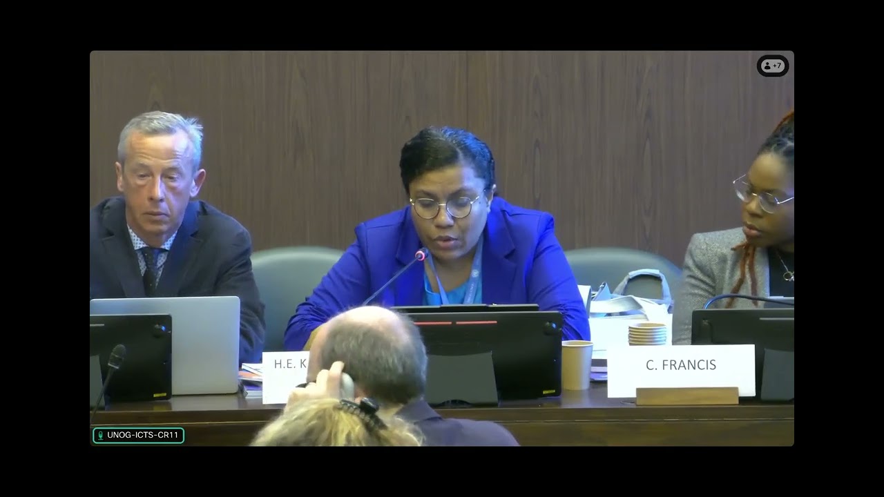 HRC61 Side Event - Decriminalizing homelessness and poverty as a human rights response