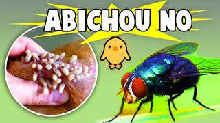Miniatura do vídeo