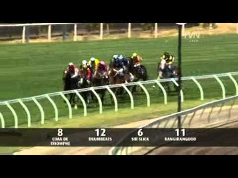 2009 LKS Mackinnon Stakes - Scenic Shot