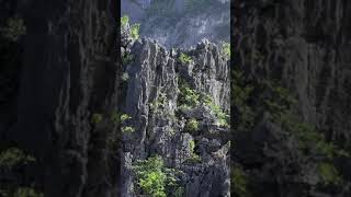 Where to stay in Catba island ? #shorts #bsa #blueswimmerventures