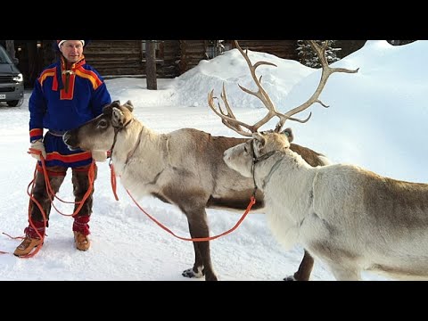 First snowfall brings excitement to Santa Claus Village in Lapland