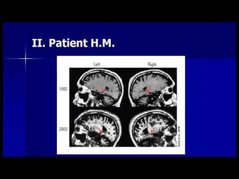 The Neuroscience of Memory