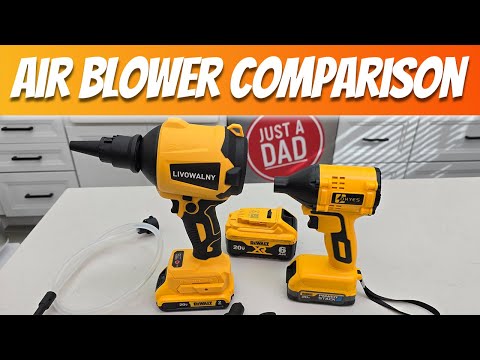 Dewalt Battery Air Blower Comparison: LIVOWALNY vs OHYES