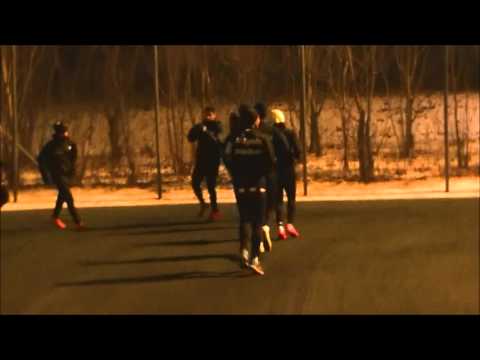 IF Sylvia reser till Danmark 2016