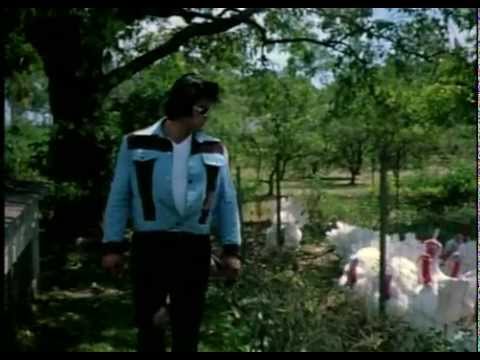 "Blood Freak": Turkeys.