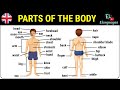 Parts Of The Body In English Human Body Parts Names Vocabulary