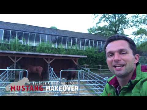 MUSTANG MAKEOVER 2018 // Update 1 TAG 3991 - Ankunft bei Sebastian Nolewajka