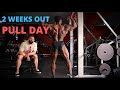 2 WEEKS OUT; Pull Workout + Posing