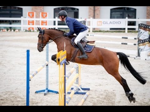 6 yo Venezia( Quality Time x Verdi) 28.09.19