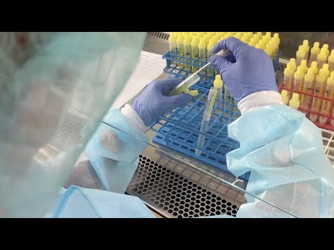 Wie ein PCR-Test im Labor ausgewertet wird