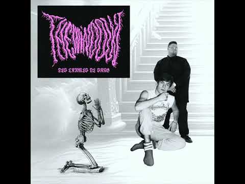 Florent Pagny & Big Ali - Des larmes de sang (FRAPCORE REMIX)