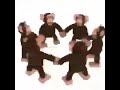 Happy Monkey Circle 10 HOURS