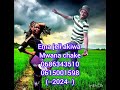 Ema Jeli Usia 2024