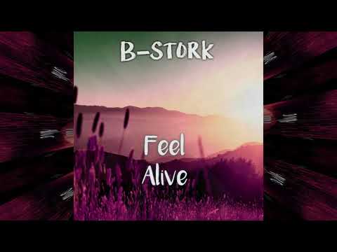 B-Stork - Feel Alive(Extended Mix)