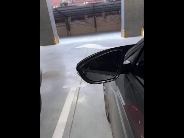 Накладки на Зеркала RLine-Look (2 шт для EU) Video 1