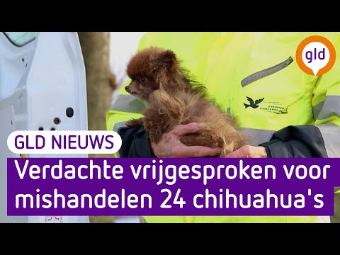 GLD Nieuws 23 november 2022