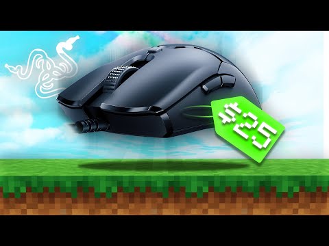 The BEST Budget Mouse For MINECRAFT PvP? (Razer Viper Mini)