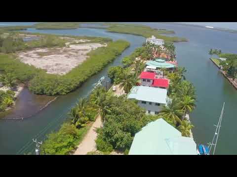 img-video