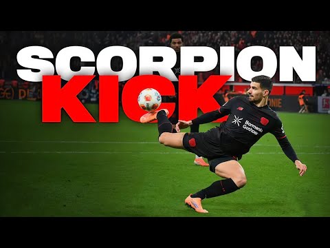 Martin Terrier Scorpion Kick