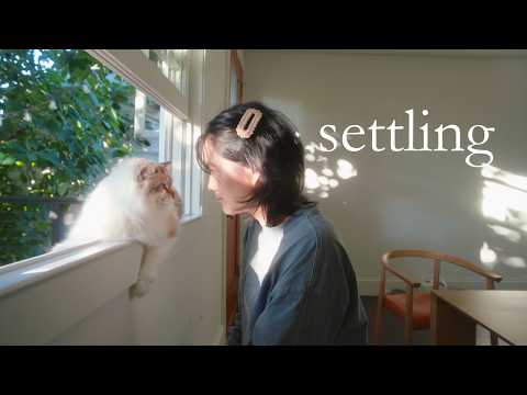 How I Make Life Feel Cozy ✷ new routines & rituals, exploring the bay