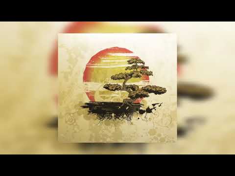 DamjanZ - Bonsai (Official Audio)