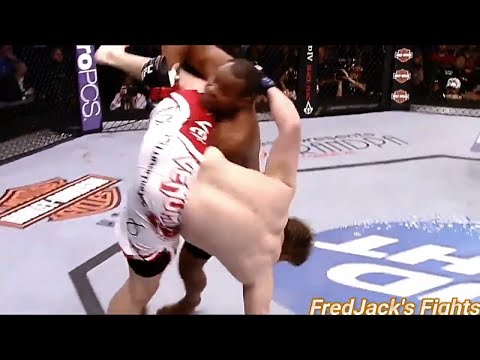 Daniel Cormier vs Roy Nelson Highlights (Cormier DOMINATES Nelson) #ufc #mma #DanielCormier #fights
