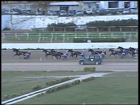 Trotto 13/11/2014 - 2° corsa