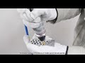Trader - Wholesaler / Distributor of Pneumatic Tools by Pneumec ...