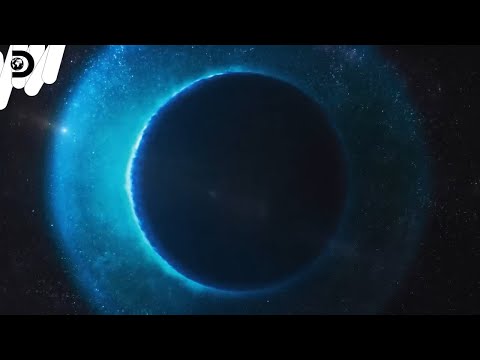 えび茶色が植えられた海岸砂丘